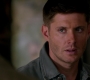 Filename=SPN_1403.jpg
Filesize=43KiB
Dimensions=1280x720
Date added=Sep 30, 2021 SPN_1403.jpg