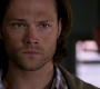 Filename=SPN_1405.jpg
Filesize=52KiB
Dimensions=1280x720
Date added=Sep 30, 2021 SPN_1405.jpg