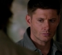 Filename=SPN_1406.jpg
Filesize=44KiB
Dimensions=1280x720
Date added=Sep 30, 2021 SPN_1406.jpg