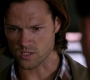 Filename=SPN_1409.jpg
Filesize=51KiB
Dimensions=1280x720
Date added=Sep 30, 2021 SPN_1409.jpg