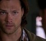 Filename=SPN_1412.jpg
Filesize=50KiB
Dimensions=1280x720
Date added=Sep 30, 2021 SPN_1412.jpg