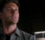 Filename=SPN_1441.jpg
Filesize=45KiB
Dimensions=1280x720
Date added=Sep 30, 2021 SPN_1441.jpg