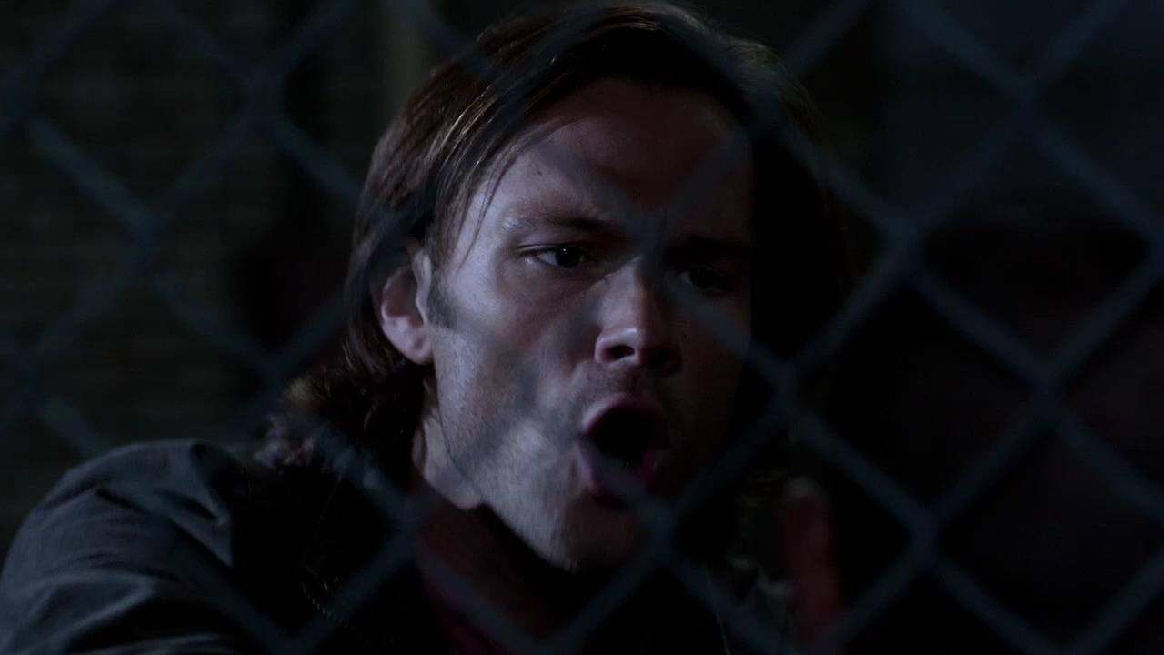 SPN_0939.jpg