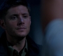 SPN_1040.jpg