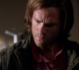 SPN_1350.jpg