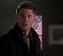 SPN_1368.jpg