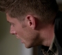 SPN_1390.jpg