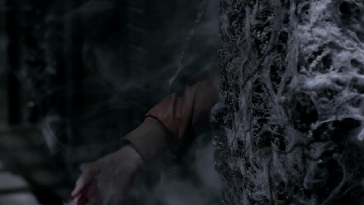 SPN_0718.jpg