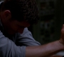 SPN_0290.jpg