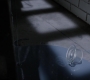 SPN_0334.jpg