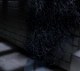 SPN_0337.jpg
