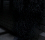 SPN_0338.jpg