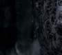 SPN_0717.jpg