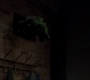 SPN_1168.jpg
