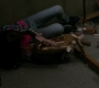 Filename=SPN_1194.jpg
Filesize=40KiB
Dimensions=1276x720
Date added=Sep 30, 2021 SPN_1194.jpg