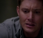 SPN_1218.jpg