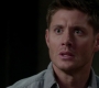 SPN_1252.jpg