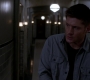 SPN_1356.jpg
