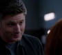 Filename=SPN_1785.jpg
Filesize=42KiB
Dimensions=1276x720
Date added=Sep 30, 2021 SPN_1785.jpg