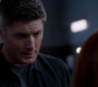Filename=SPN_1786.jpg
Filesize=44KiB
Dimensions=1276x720
Date added=Sep 30, 2021 SPN_1786.jpg