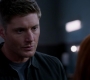 Filename=SPN_1789.jpg
Filesize=43KiB
Dimensions=1276x720
Date added=Sep 30, 2021 SPN_1789.jpg