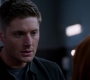 Filename=SPN_1791.jpg
Filesize=42KiB
Dimensions=1276x720
Date added=Sep 30, 2021 SPN_1791.jpg