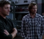 Filename=SPN_1812.jpg
Filesize=76KiB
Dimensions=1276x720
Date added=Sep 30, 2021 SPN_1812.jpg