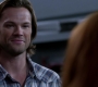 Filename=SPN_1833.jpg
Filesize=52KiB
Dimensions=1276x720
Date added=Sep 30, 2021 SPN_1833.jpg