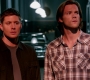 Filename=SPN_1883.jpg
Filesize=84KiB
Dimensions=1276x720
Date added=Sep 30, 2021 SPN_1883.jpg