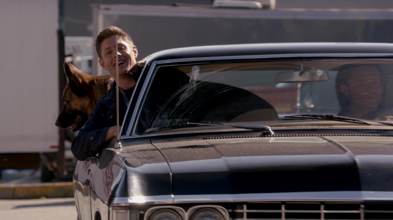 SPN_0990.jpg