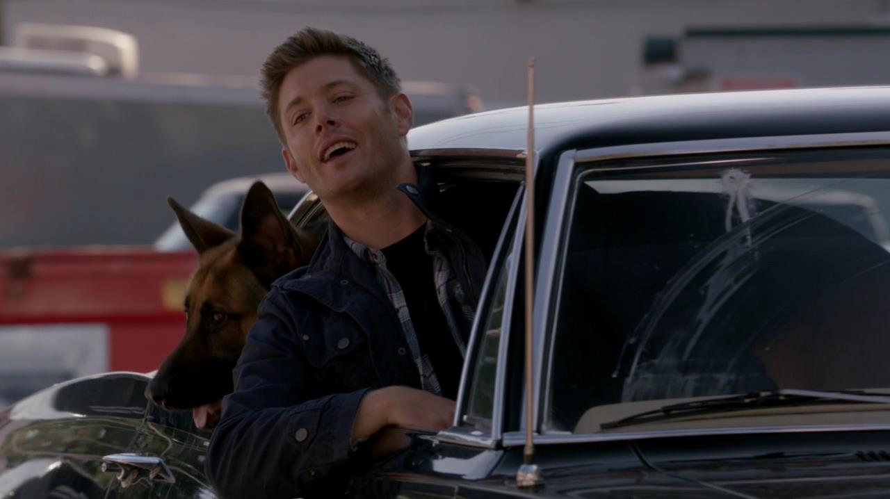 SPN_0994.jpg