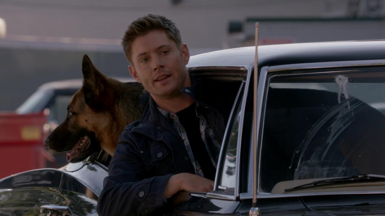 SPN_0995.jpg