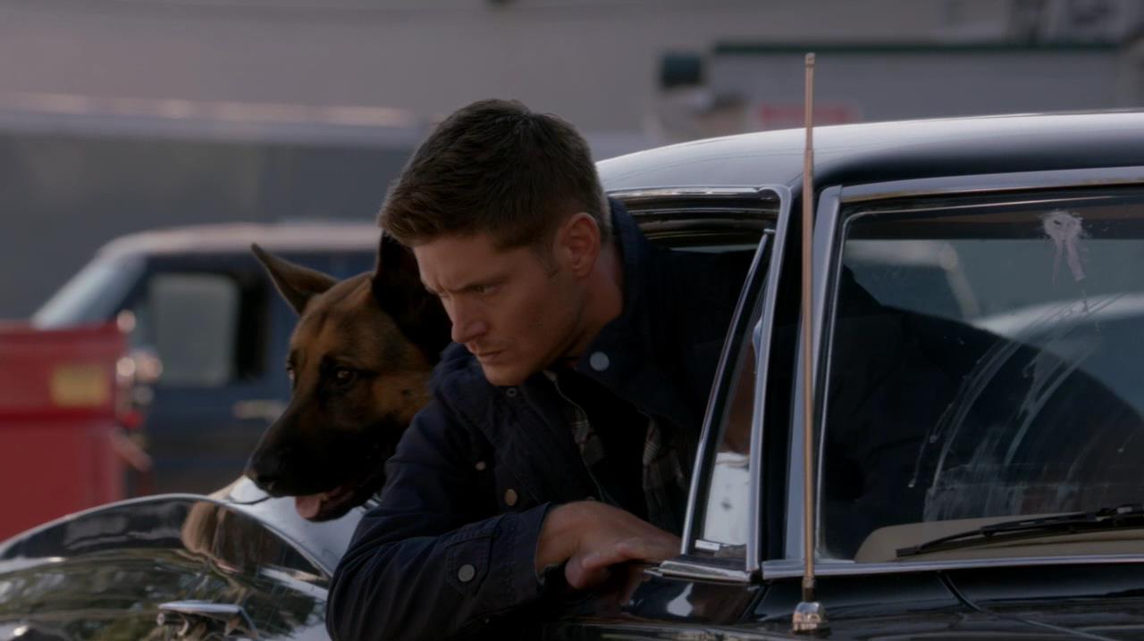 SPN_0996.jpg