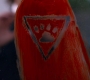 SPN_0163.jpg