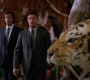 SPN_0169.jpg
