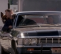 SPN_0988.jpg