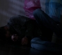 SPN_1448.jpg