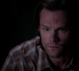 Filename=SPN_1517.jpg
Filesize=31KiB
Dimensions=1280x718
Date added=Sep 30, 2021 SPN_1517.jpg
