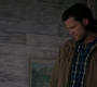 SPN_0454.jpg