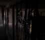 SPN_0507.jpg