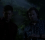 SPN_0665.jpg