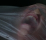 SPN_0711.jpg