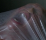 SPN_0715.jpg