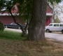 SPN_0912.jpg