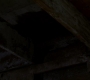 SPN_1113.jpg
