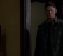 SPN_1135.jpg