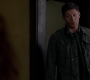 SPN_1197.jpg
