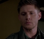 SPN_1211.jpg