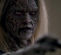 SPN_1446.jpg