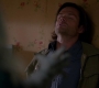 SPN_1450.jpg